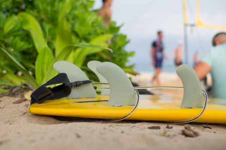 Surf board details.の写真素材