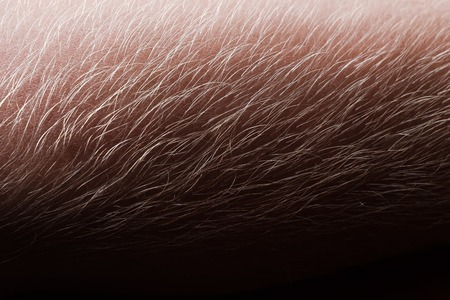 Detail of man hand with blond hair.の写真素材
