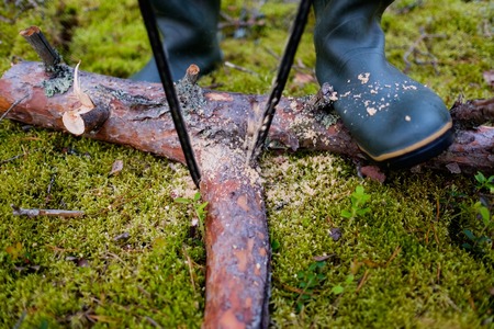 Close-up tourist cutting log of wood with hand saw. Concept of having wild vacation on nature.