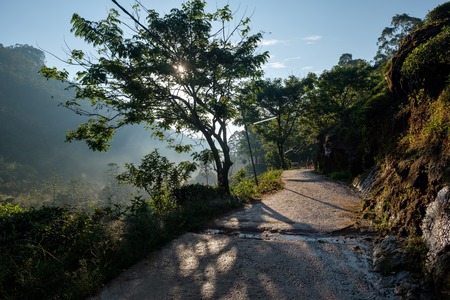 Walking path from Adams peak at sunrise, Sri Lankaの写真素材