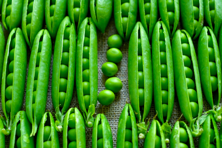 Fresh green peas vegetable background.の写真素材