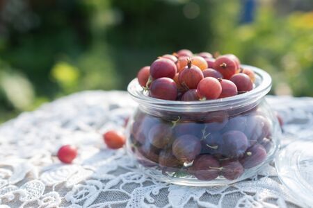 Fresh gooseberries in glass bowl on table.の写真素材
