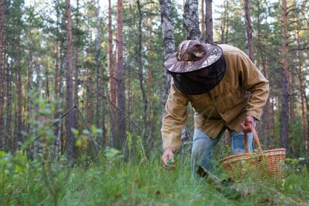 Grandfather gather mushrooms in the summer forest. Old man walking.の写真素材