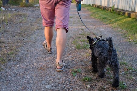 Caucasian man leds and small black schnauzer dog walking outdoor on path of forest.