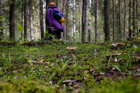 Man walking in forest. Mushrooms on ground.