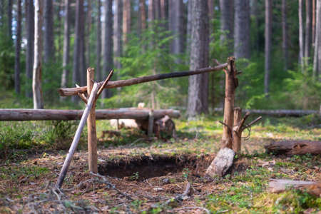 Camping place with wooden benches in summer forest.の写真素材