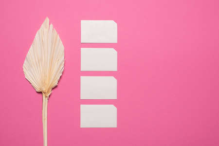 Dried wildflower on a pink background and white copyspace.の写真素材