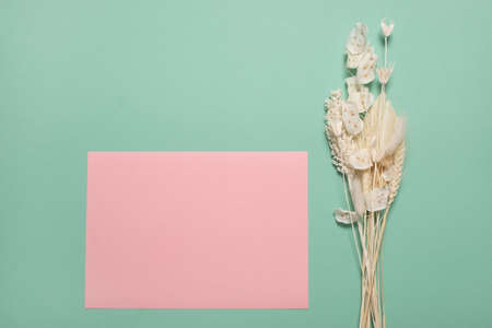 Various yellow dried wildflowers with copyspace label on blue background.の写真素材