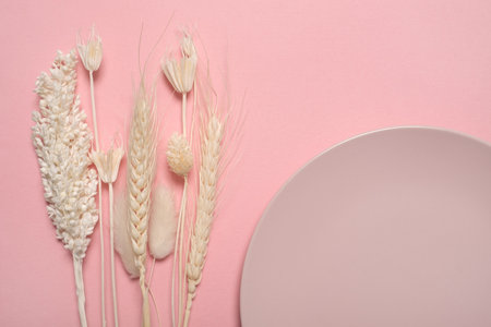 Various yellow dried wildflowers on pink background.の写真素材