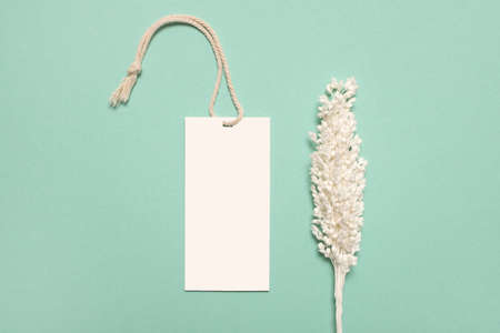 Various yellow dried wildflower with copyspace label on blue background.