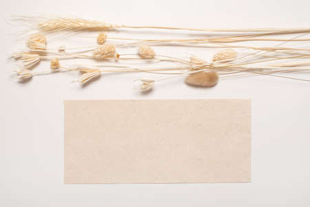 Dried wildflowers with envelope. Eco style in design.の写真素材