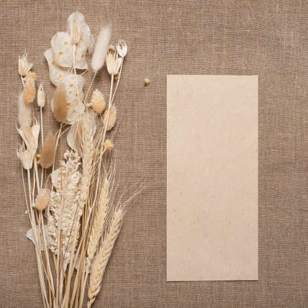 Dried wildflowers with envelope. Eco style in design.