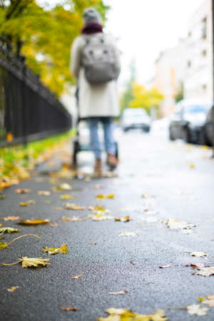 Mother walking with baby in stroller in path covered with red and yellow leaves.の写真素材