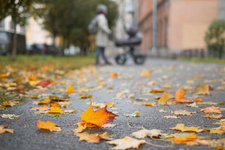 Mother walking with baby in stroller in path covered with red and yellow leaves.