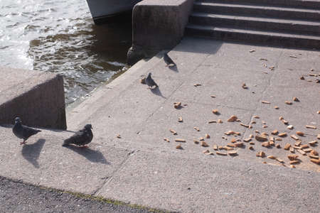 Bread thrown on ground. The wrong way to dispose of food.の写真素材