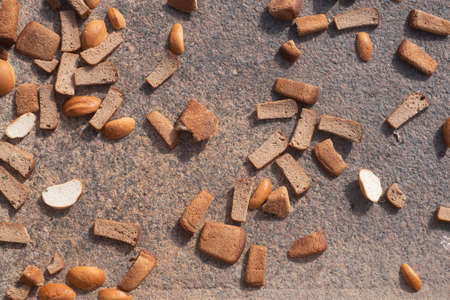 Bread thrown on ground. The wrong way to dispose of food.の写真素材