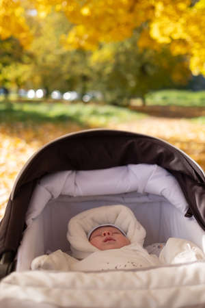 Portrait of sleeping baby in autumn park