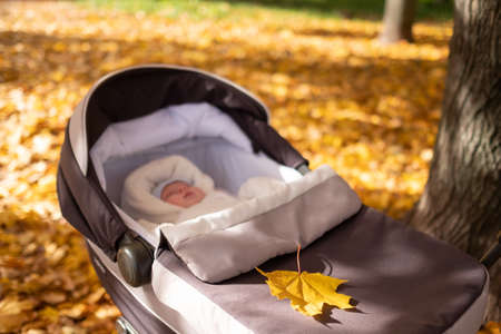 Portrait of sleeping baby in autumn parkの写真素材
