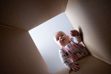 Happy baby into parcel cardboard box and smiling.の写真素材