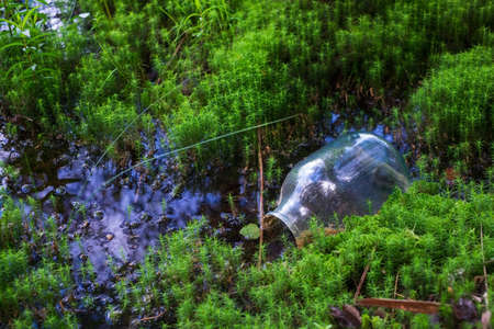 A carelessly throw away glass bottle nestled in the moss on a forest.