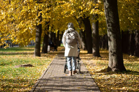 Mother walking in park with a stroller.の写真素材