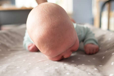 newborn baby study to crawl on bed