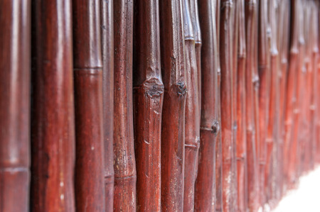 bamboo fence background wall stickの写真素材