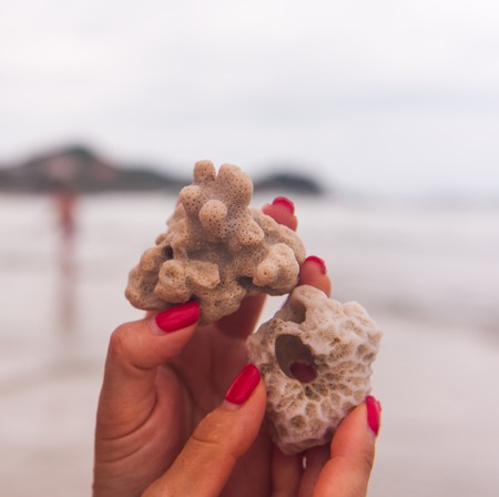 coral reef ocean beachの写真素材