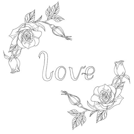 lovely white black template for invitation and congratulation cards with hand drawn rosesのイラスト素材