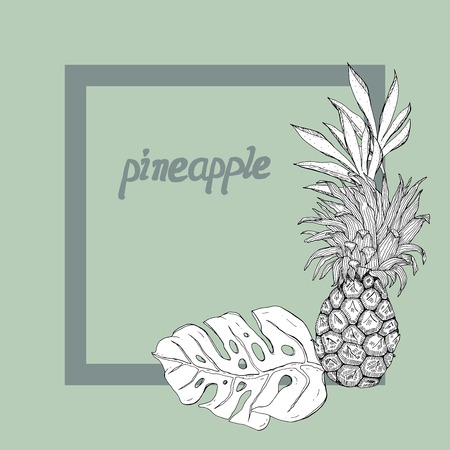Hand drawn pineapple monochrome with tropical leaves in frame vector illustrationのイラスト素材