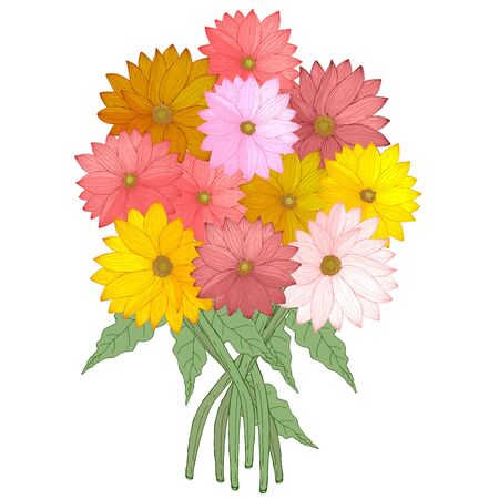 Bouquet of hand drawn daisies gerberas flowers colorful red pink yellow and green leaves vector illustrationのイラスト素材