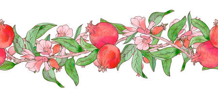 Seamless border of watercolor textured pomegranates with blossoming flowers and leaves on branchesの写真素材
