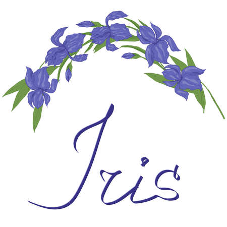 Iris flowers decorative art work with letteringのイラスト素材