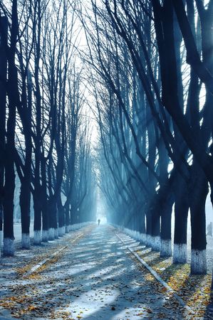 Reddeningの写真素材