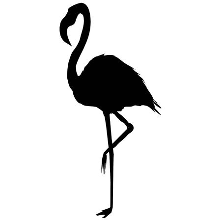 Flamingo silhouetteのイラスト素材