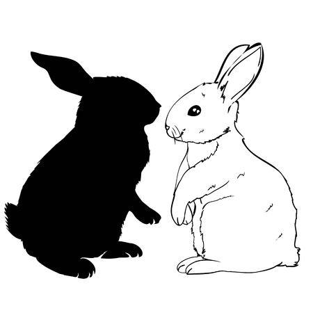 Hand drawn Rabbitのイラスト素材