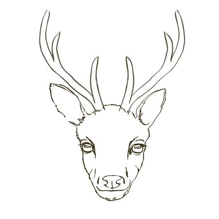 Deer sketchのイラスト素材