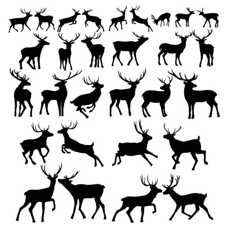 Deer silhouette isolated on white background. Vector illustration.のイラスト素材