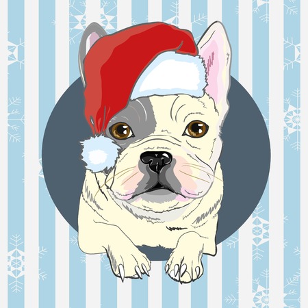 Christmas greeting card. Pug dog with red Santa s hat. Dog, christmas, santa, hat, bulldog, merry, pet, face, animal background breed canine cartoon celebration clausのイラスト素材