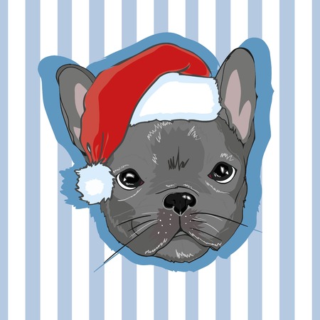 Christmas greeting card. Pug dog with red Santa s hatのイラスト素材