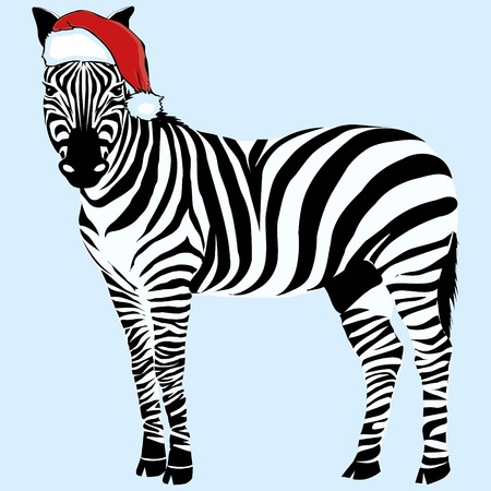 Zebra hat -  animal baby background black celebration character claus design drawing fashion fun funny happiness happy illustration mammal merryのイラスト素材