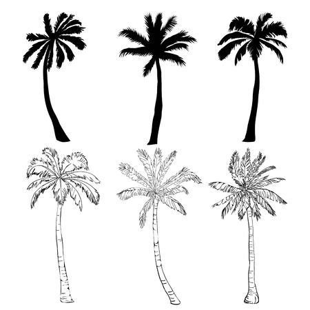 Vector palm tree silhouette icons on white background, branch, climate, environment, exotic, flora, floral, hawaii, icon, illustration island leaf nature outdoor paradise plantのイラスト素材