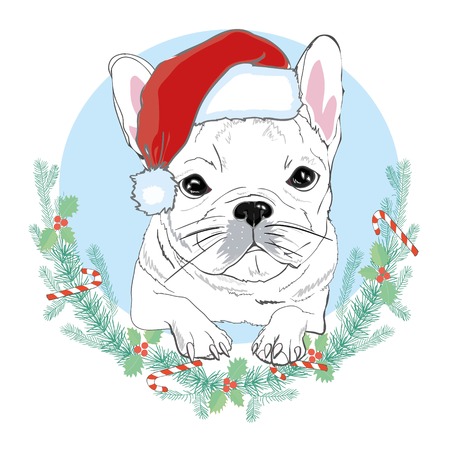 Portrait of cute french bulldog in red christmas hat on blue background. Vector illustration. Santa Claus. New Year's and Christmas. isolated, looking, merry, newyear, party, pet, portrait, print, puppy, red, santa, santaclaus, sketch, style, trendy vector white winter xmas hipsterのイラスト素材
