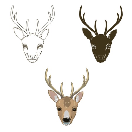 Deer sketch, set, vector, illustrationのイラスト素材