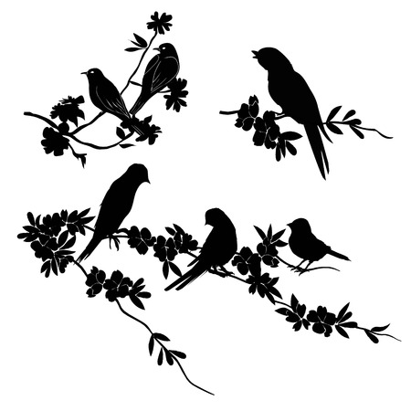 Birds Silhouette - 6 different vector illustrationsのイラスト素材