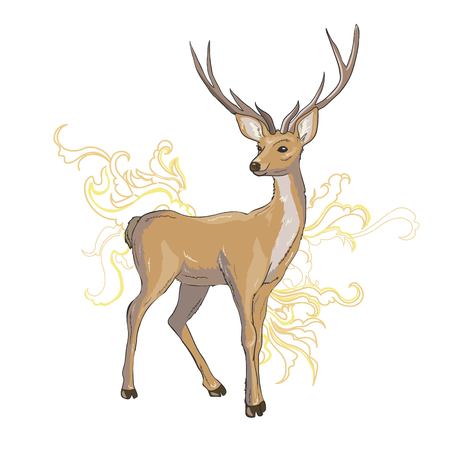 A set of deer for your design. Deer, sika deer and reindeer. Vector illustration, isolation objects.のイラスト素材