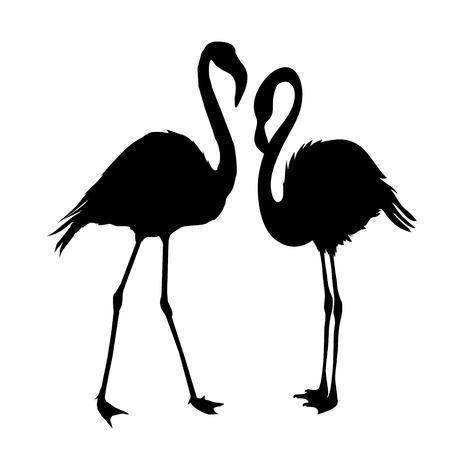 Flamingo silhouette, vector, illustration, wild, isolated, wildlife, background, set tropical beak black collection design element feather leg nature zoo beautyのイラスト素材
