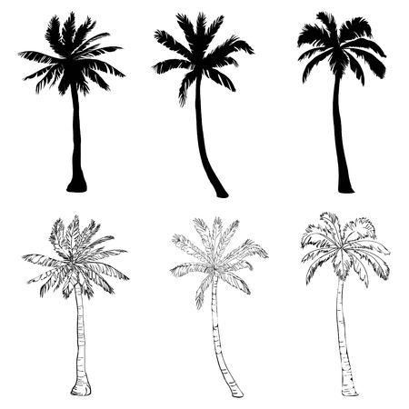 Vector palm tree silhouette icons on white background, branch, climate, environment, exotic, flora, floral, hawaii, icon, illustration island leaf nature outdoor paradise plantのイラスト素材