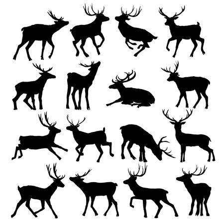 Deer silhouette isolated on white background. Vector, animal, deer, mammal, silhouette, vector, beautiful forest illustration isolated blackandwhite elk hornsの写真素材