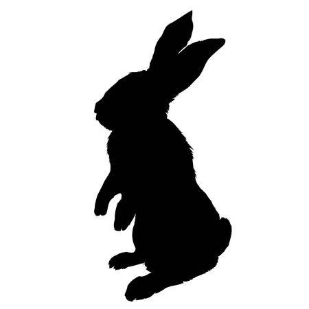 Bunny rodent black silhouette animal, animal, bunny, graphic, hare, icon, illustration, isolated nature pet rabbit silhouette symbol cute design easterの写真素材